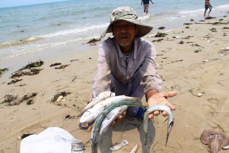 Cá chết ở ven biển Miền Trung lên báo nước ngoài