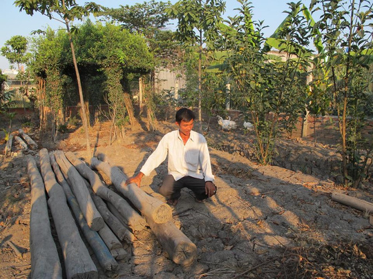 UBND huyện Bình Chánh: Phạt người xây chòi vịt là đúng - 2