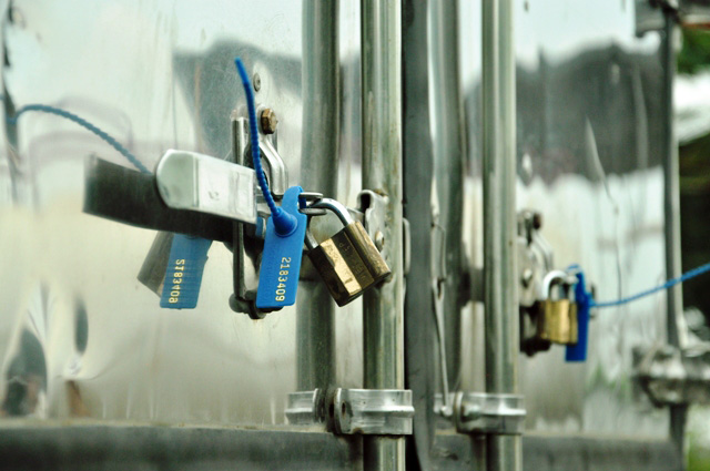 80 con heo ăn chất cấm được nhập vào Công ty Vissan - 9