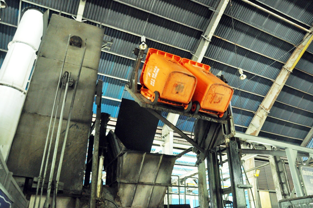 80 con heo ăn chất cấm được nhập vào Công ty Vissan - 14