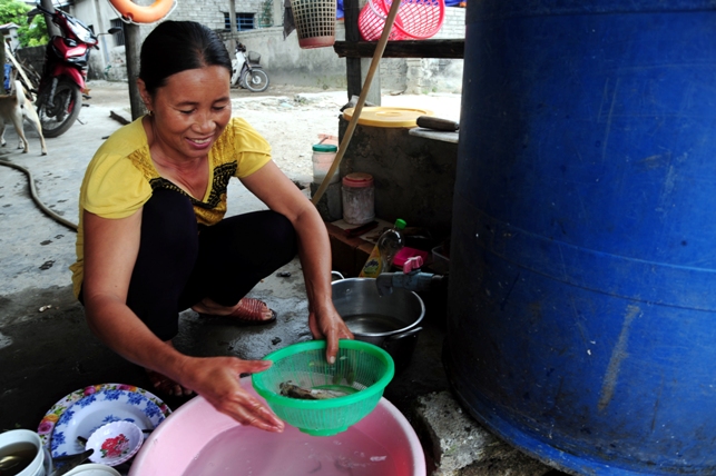 Nhà hàng, dịch vụ du lịch &#34;chết&#34; theo cá - 10