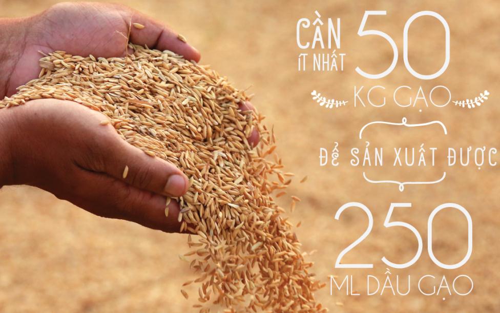 Khám phá công dụng của dầu ăn 3 thành phần - 5