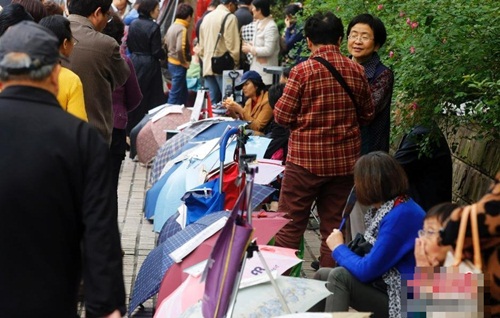 Sợ con ế, phụ huynh TQ đổ xô ra công viên mai mối - 4