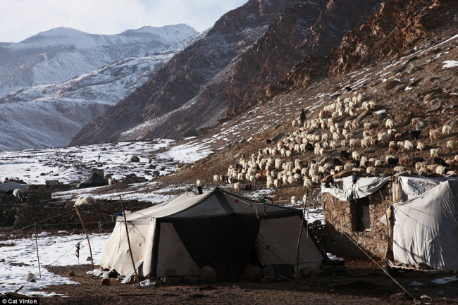 Để tìm hiểu về cuộc sống của bộ tộc Chang Tang-Pa, nhiếp ảnh gia Cat Vinton đã ở cùng một gia đình thuộc cộng đồng này suốt 3 tháng. Cô ngủ cùng họ trong túp lều làm bằng da bò Tây Tạng.