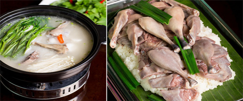 Chuyện chim Sâm Cầm: xưa và nay - 4