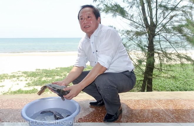 Bộ trưởng Trương Minh Tuấn mời nhà báo ăn cá biển tại Quảng Bình - 1