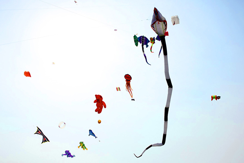 Cận cảnh diều rắn dài trăm mét trên bầu trời Thủ đô - 10