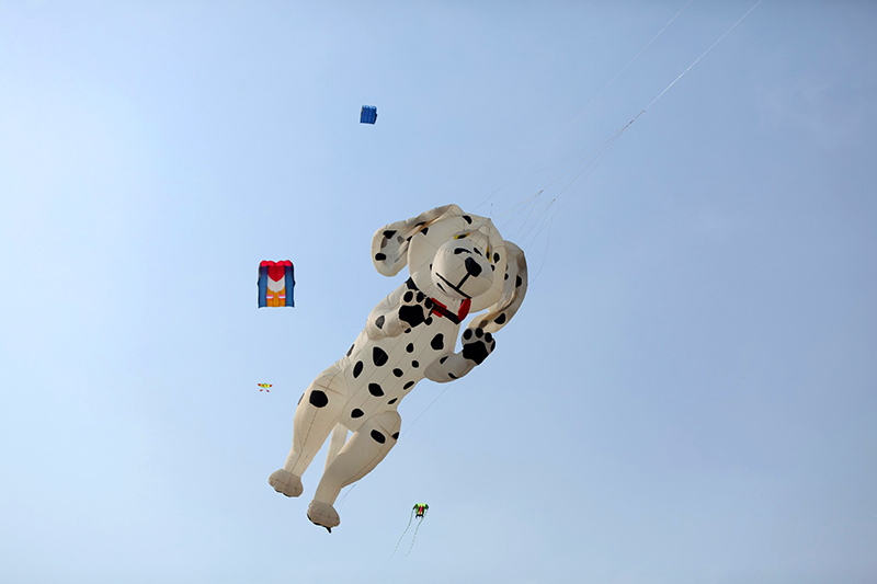 Cận cảnh diều rắn dài trăm mét trên bầu trời Thủ đô - 9