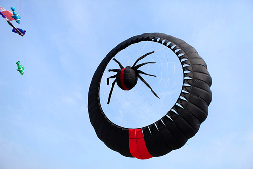 Cận cảnh diều rắn dài trăm mét trên bầu trời Thủ đô - 8