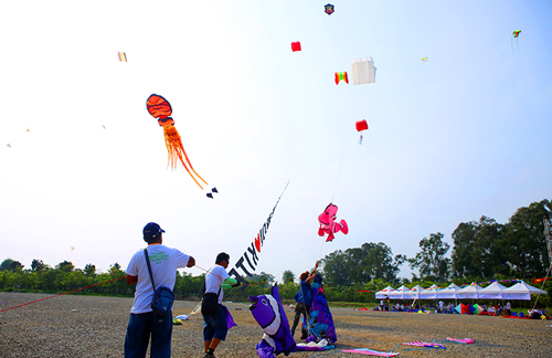 Cận cảnh diều rắn dài trăm mét trên bầu trời Thủ đô - 15