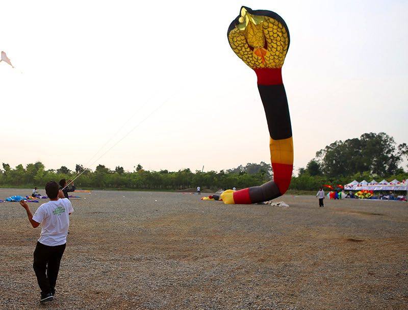 Cận cảnh diều rắn dài trăm mét trên bầu trời Thủ đô - 12