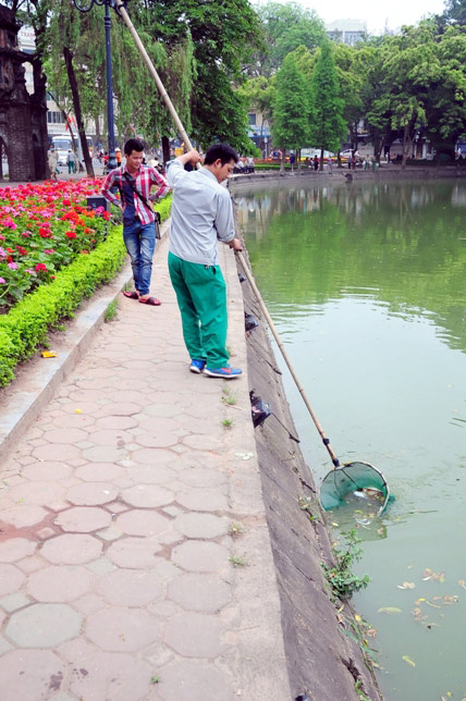 Ảnh: Những người miệt mài làm việc “quên” ngày 1/5 - 5