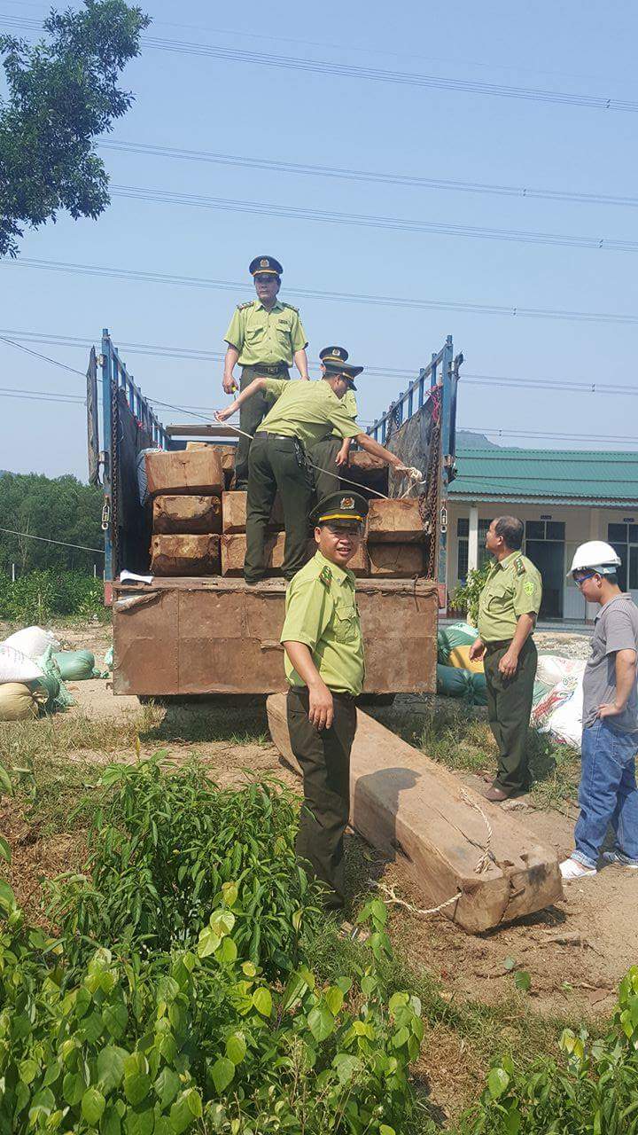 Bắt xe tải chở gỗ lậu ngụy trang bằng mùn cưa - 1