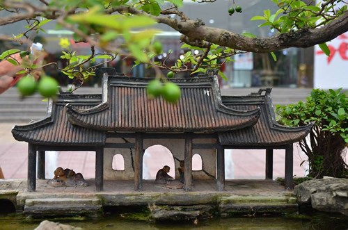 Suýt xoa dàn cây ăn quả bonsai tuyệt đẹp ở Thủ đô - 11