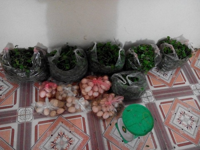 Lo ngại thực phẩm bẩn, rau thịt quê "hút" khách thành phố - 2