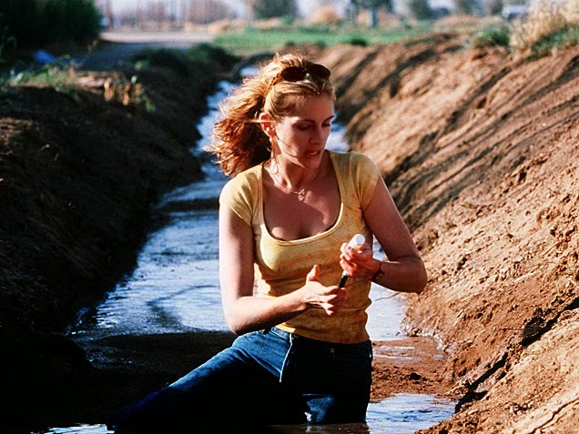 Ám ảnh những bộ phim về ô nhiễm môi trường - 2