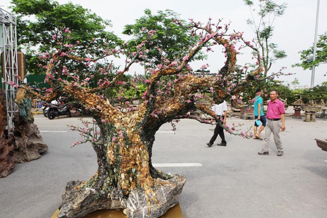 Ngắm cây đào thế bằng đá quý giá bạc tỷ ở Hà Nội - 2