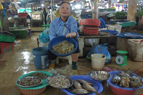 Hàm lượng kim loại nặng trong mẫu hải sản ở Hà Tĩnh ở ngưỡng cho phép - 1