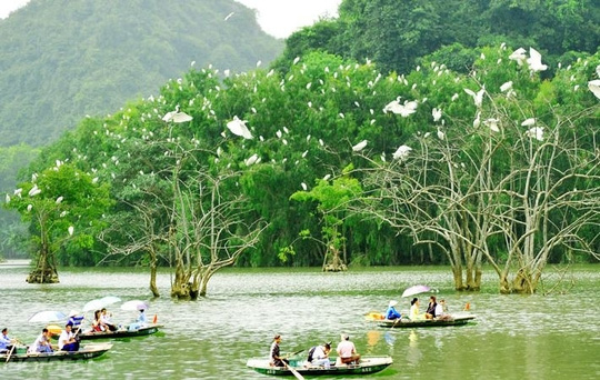 Khám phá 5 điểm du lịch "gây nghiện" ở Ninh Bình - 9