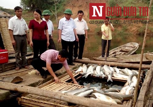 Thanh Hóa: Sẽ khởi tố hình sự vụ cá chết trắng sông - 1