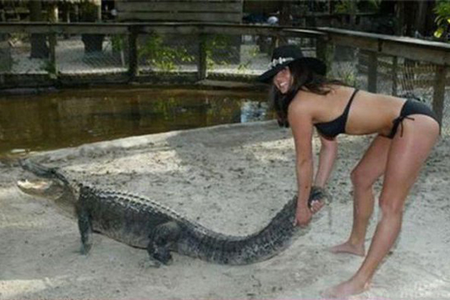 Chị đây không sợ "cá sấu" đâu nhé.
