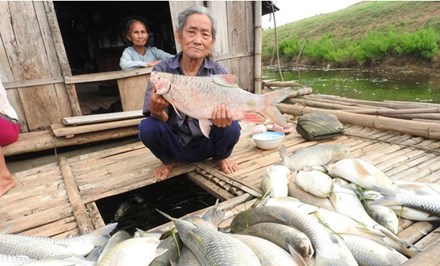 Thanh Hóa báo cáo Thủ tướng vụ cá chết trên sông - 1