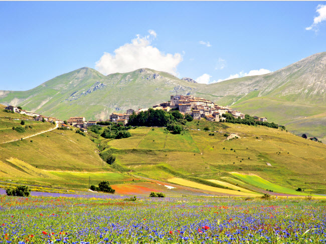 Nằm gần thành phố Norcia tại vùng Umbria ở Italia, thị trấn nhỏ Castellucio di Norcia nổi tiếng với những cánh đồng hoa rực rỡ sắc màu vào khoảng thời gian cuối tháng 5 và đầu tháng 6.