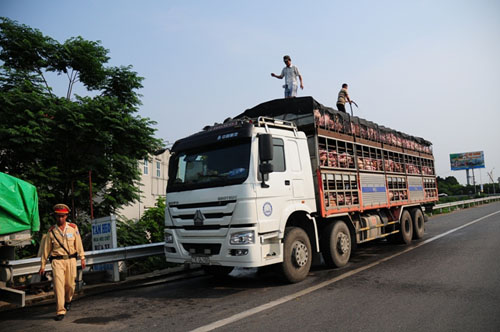 Tắm heo, “tắm” cả người đi trên cao tốc HN-Bắc Giang - 4
