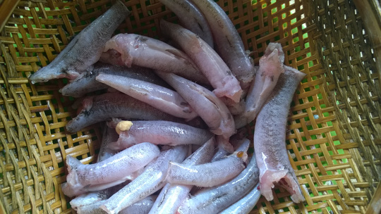 Cá bống dừa nướng muối ớt