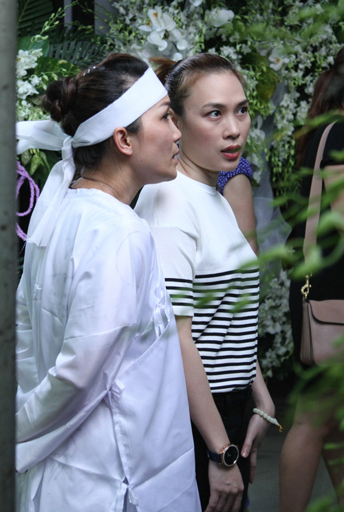 "Hoạ mi" Mỹ Tâm từng rất yêu mến bố ca sĩ Hồng Ngọc - 4