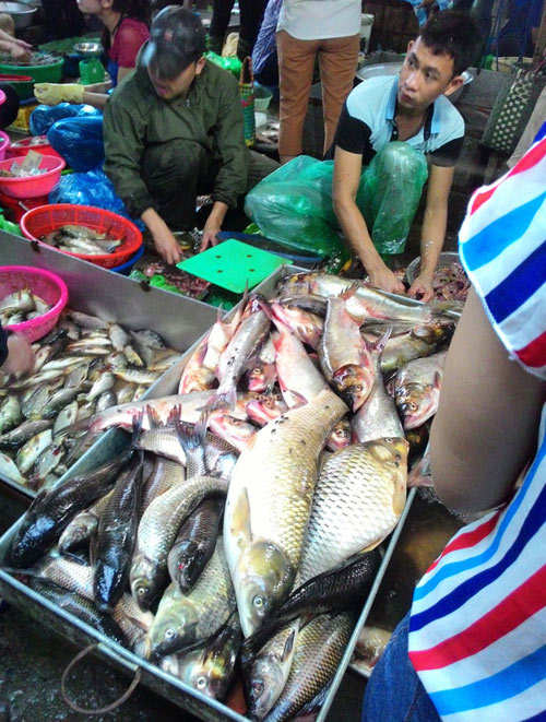 Tấp nập khách “săn” cá ươn giá rẻ tại chợ thực phẩm HN - 1
