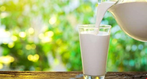 10 lý do không nên cho trẻ dưới 1 tuổi uống sữa bò - 1