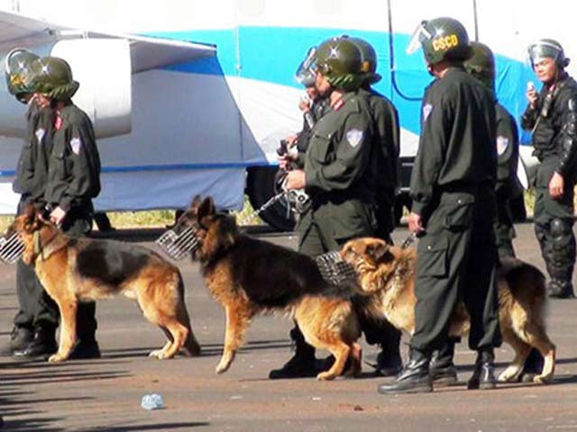 100 cảnh sát cùng chó nghiệp vụ vây ổ ma túy Bình Thuận - 1