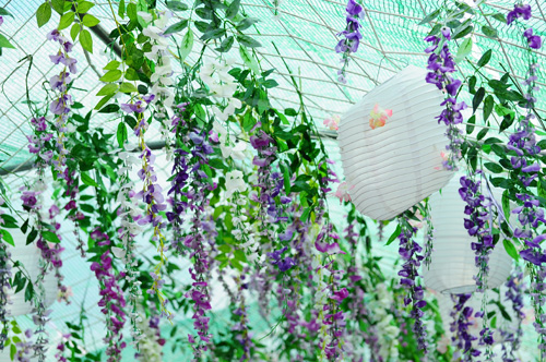 "Treo đầu dê, bán thịt chó", lễ hội treo hoa giả gây thất vọng - 6