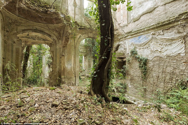 Những công trình bị con người bỏ hoang trở thành nơi lý tưởng để cây bụi phát triển. Cây lớn mọc giữa một biệt thự đổ nát gần biển Địa Trung Hải (ảnh).