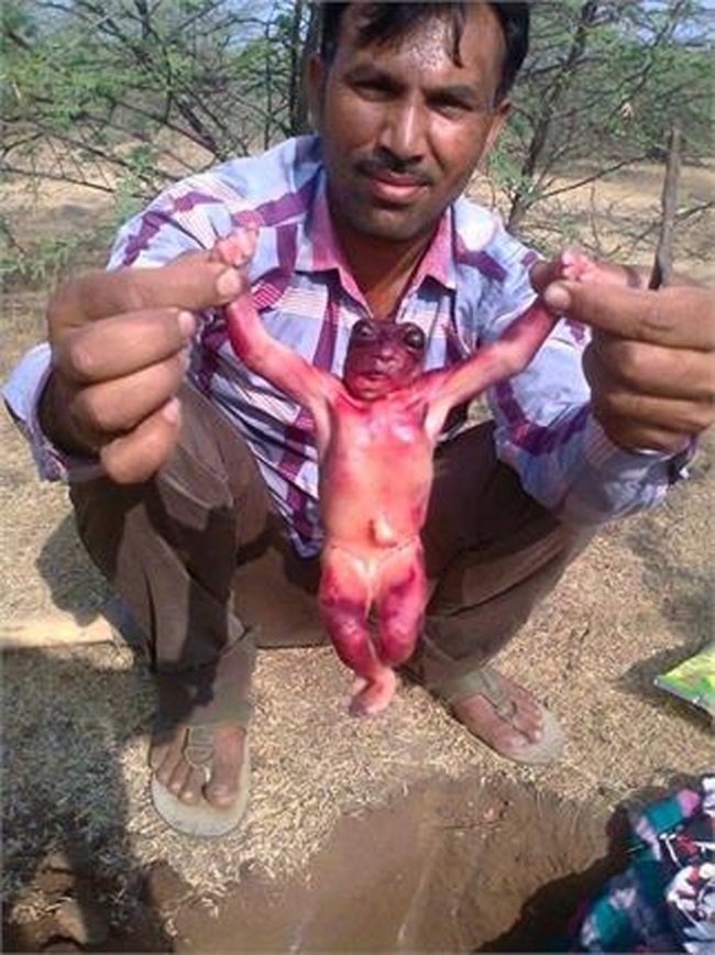 Theo trang NewsNation của Ấn Độ, năm 2015, người dân tại ngôi làng Bawadi, thành phố Jodhpur của bang Rajasthan, đã vô cùng kinh ngạc khi phát hiện một sinh vật kỳ lạ được tìm thấy trong quá trình họ đào giếng lấy nước sinh hoạt. Sinh vật này có nhiều đặc điểm tương tự so với cơ thể con người dù có vóc dáng nhỏ bé hơn nhiều. 