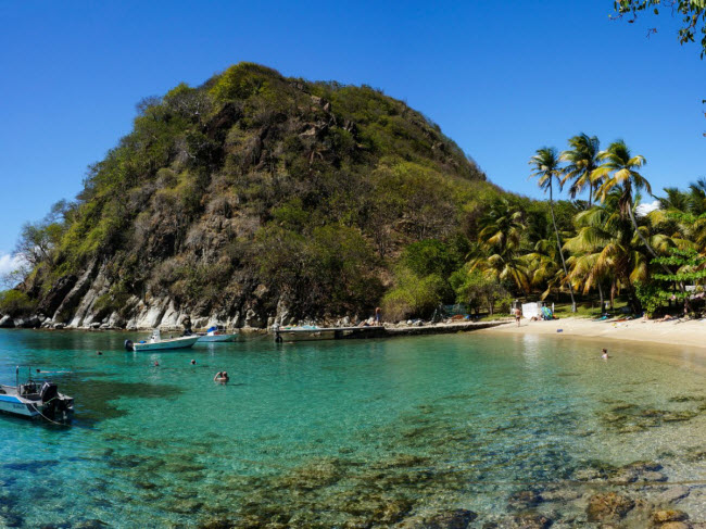 Pain de Sucre là một trong những bãi biển hoang sơ nhất trên quần đảo Guadeloupe thuộc Pháp. Sau khi mất khoảng 15 phút đi bộ để tới bãi biển, du khách có thể ngâm mình trong nước trong vắt và ngắm cá bơi lội, san hô ở phía dưới.