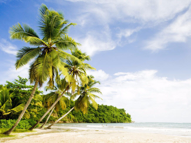 La Sagesse được coi là một thiên đường hoang sơ ở Grenada đang chờ khám phá. Bãi biển này có cát trắng và mịn cùng sóng biển nhẹ. Ngoài tắm biển, du khách có thể tham quan phong cảnh thiên nhiên ở khu vực xung quanh.