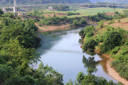 Cá nuôi trên sông Bưởi tiếp tục chết bất thường - 3