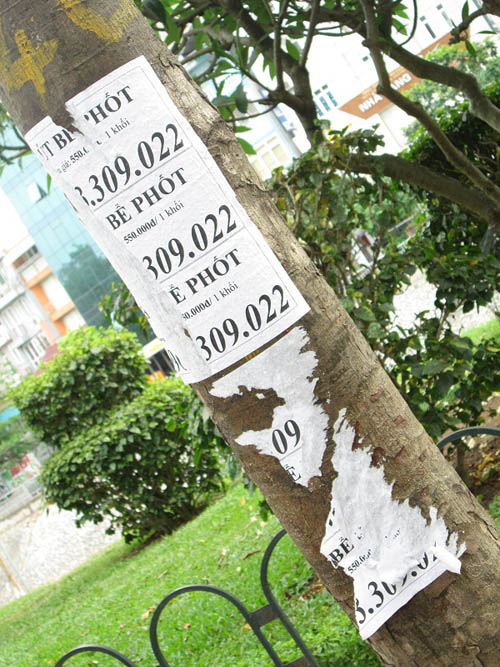 Hình ảnh luộm thuộm của "ma trận" quảng cáo ở Hà Nội - 14