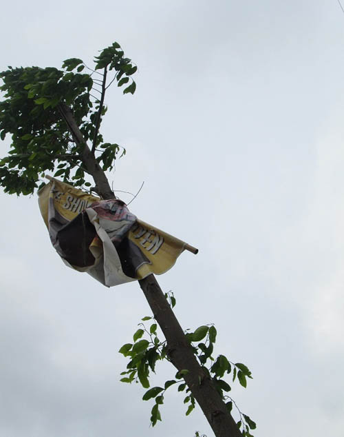 Hình ảnh luộm thuộm của "ma trận" quảng cáo ở Hà Nội - 9