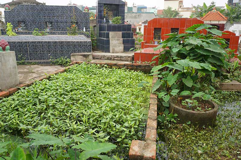 Chống thực phẩm bẩn khó vì tâm lý “làng xóm” - 1