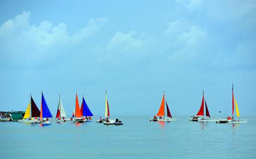 Đua thuyền buồm- môn thể thao mới nổi nhưng "hot" - 5