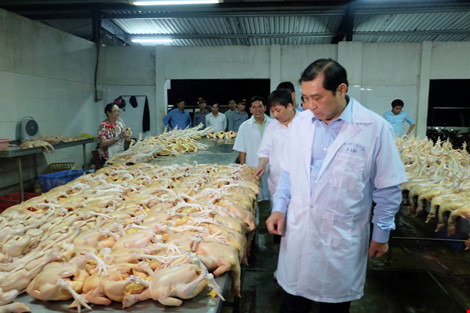 Chủ tịch Đà Nẵng kiểm tra an toàn thực phẩm lúc 1h sáng - 1