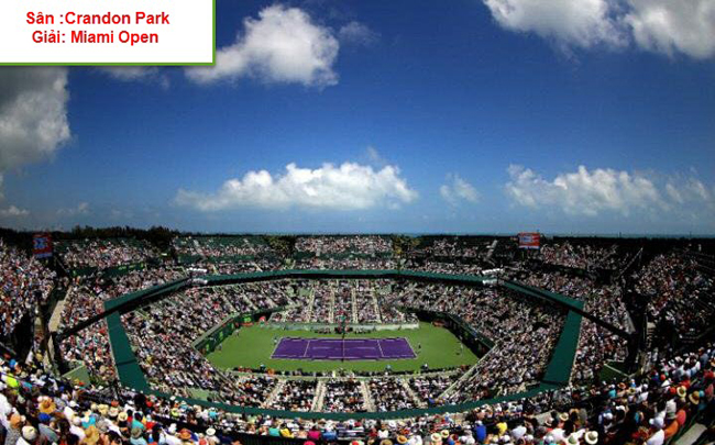 Sân Crandon Park, Miami Open. Có sức chưa 13 nghìn 800 người Crandon Park bắt đầu tổ chức các trận đấu ở Miami Open từ năm 1987 và đã trở thành một điểm đến yêu thích của các tay vợt tennis.
