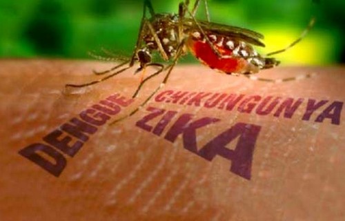 Tình hình virus Zika