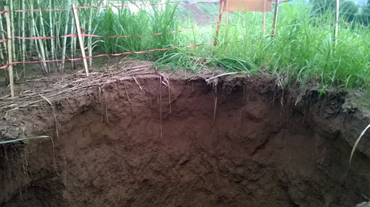 “Hố tử thần” sâu 10m bất ngờ xuất hiện ở Thanh Hóa - 4