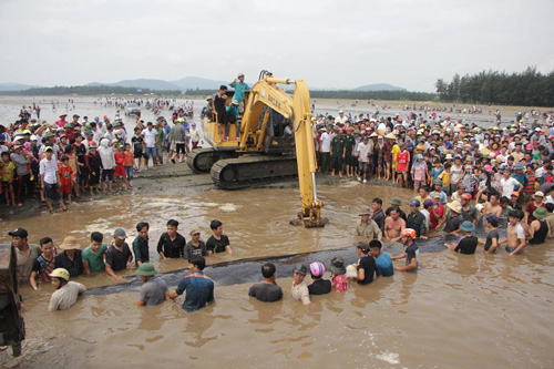 Cận cảnh cuộc giải cứu cá voi 12 tấn ở Nghệ An - 1
