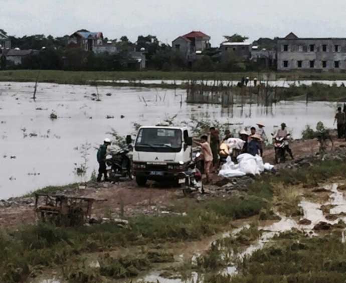 CSGT lội ruộng, ngâm mình cứu lúa trong nước lũ - 4