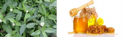 Cách chữa viêm loét miệng đơn giản, an toàn tại nhà - 3